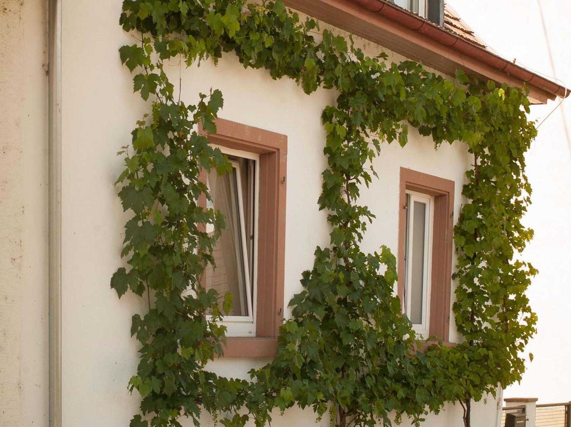 Ferienhaus Am Kuenstleratelier Riegel Exterior foto